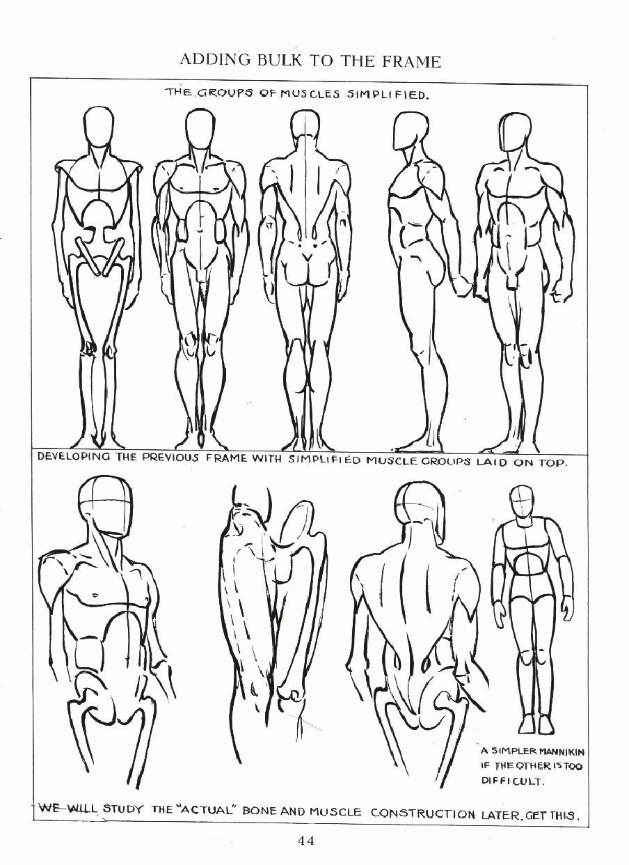 Figure Drawing For All Its Worth Returns As a Classic Art Guide